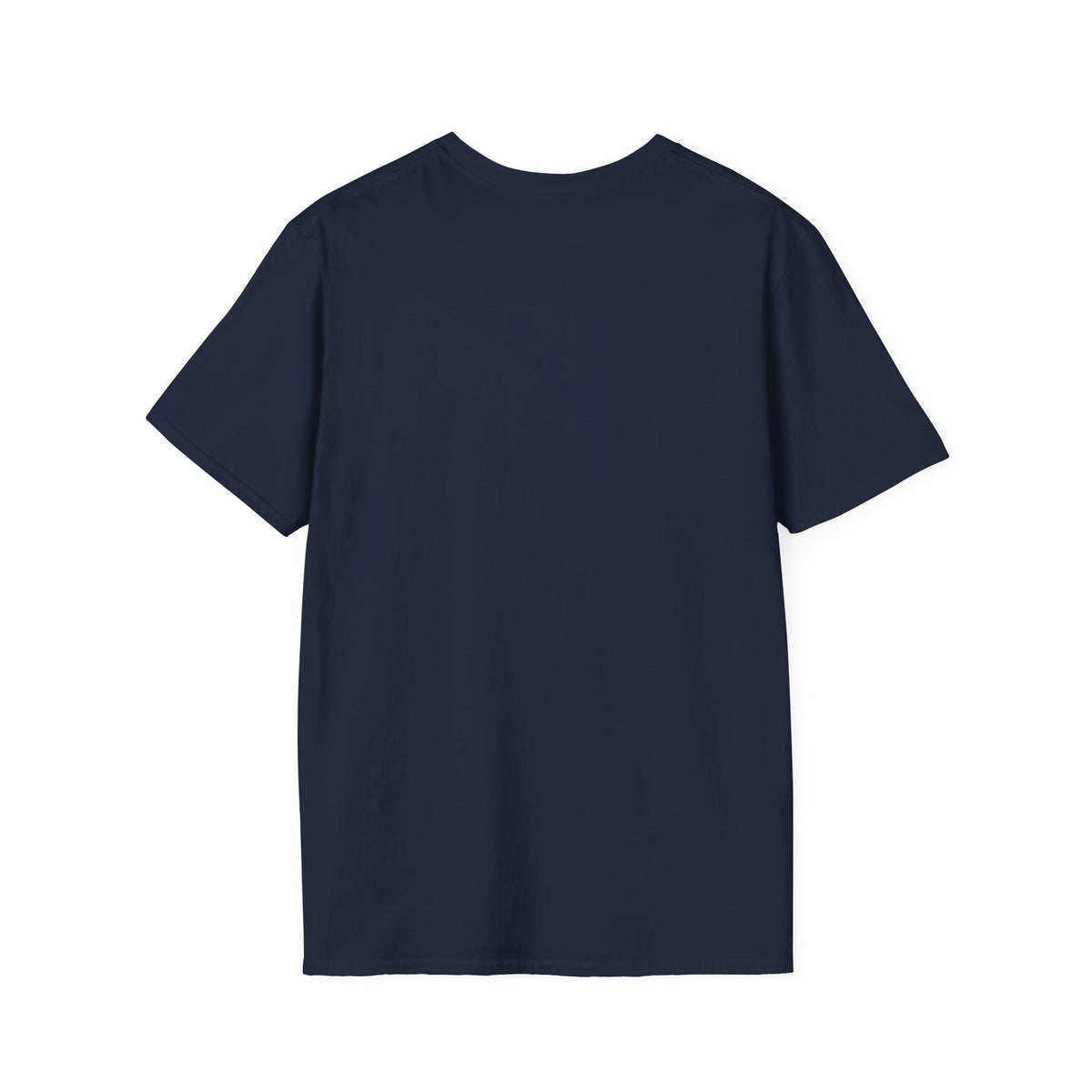King of Kings Inspirational Graphic T-Shirt