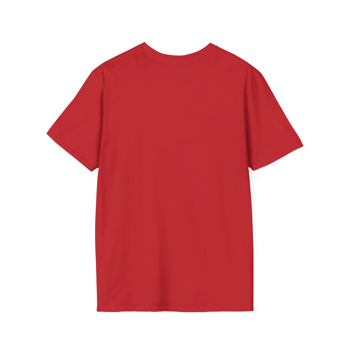 King of Kings Inspirational Graphic T-Shirt