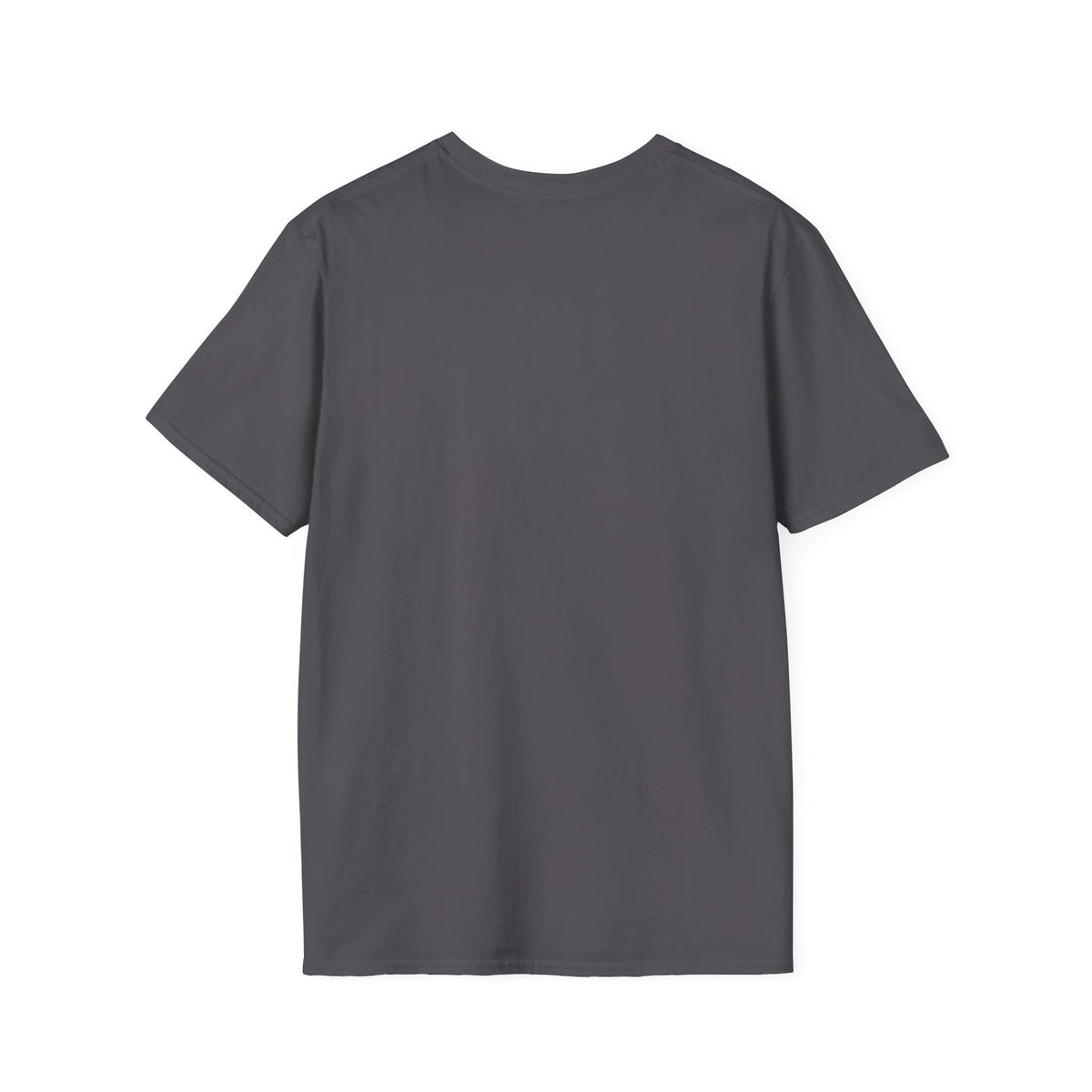 King of Kings Inspirational Graphic T-Shirt