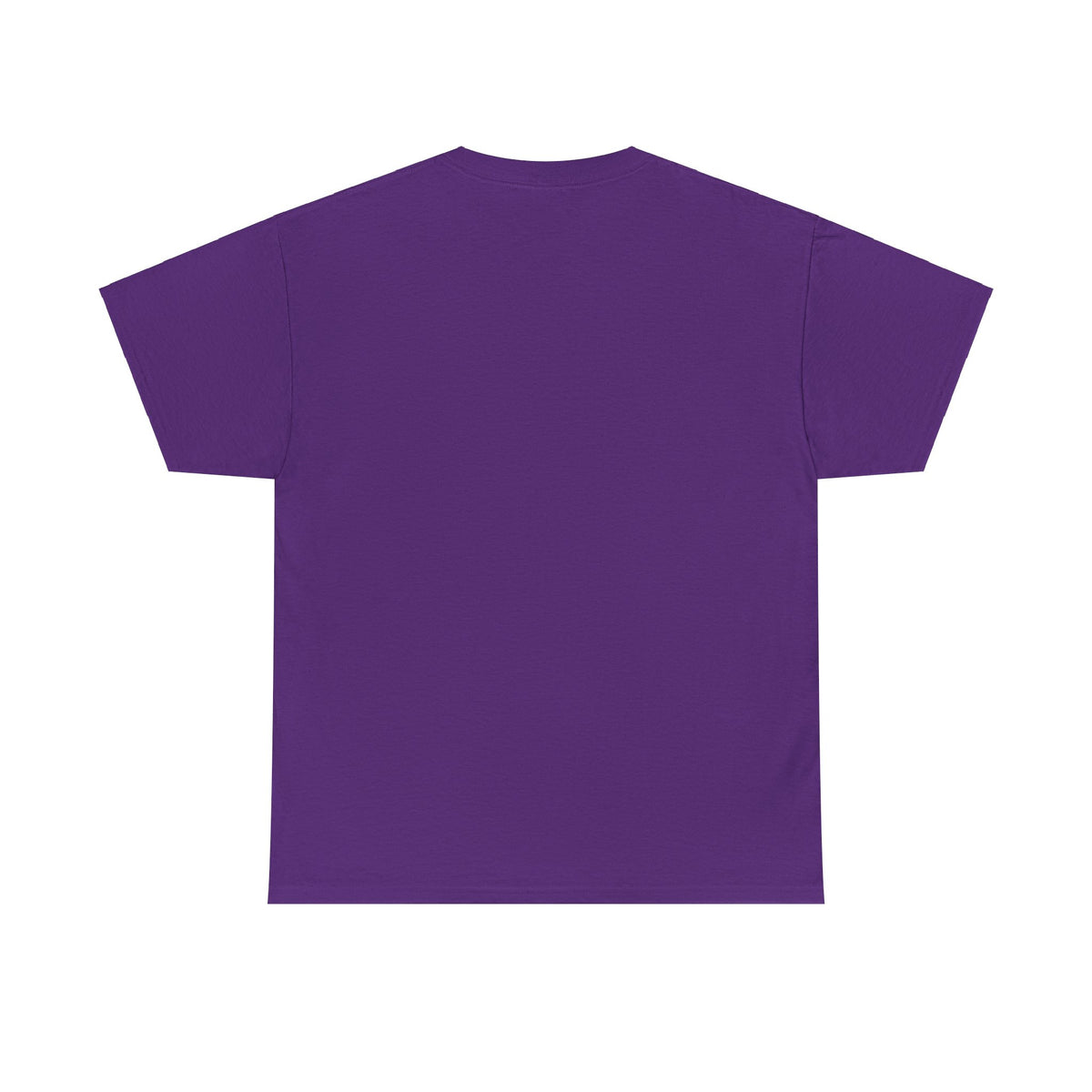 A Friend Loves at All Times Unisex Heavy Cotton Tee