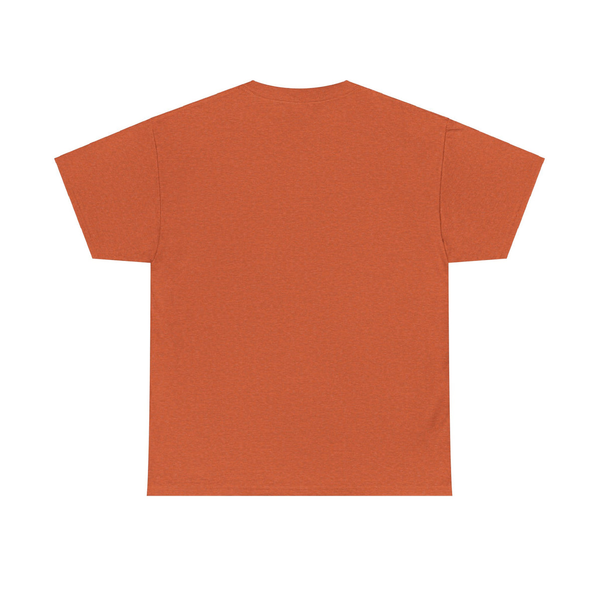 Faith is the Substance Unisex Heavy Cotton Tee